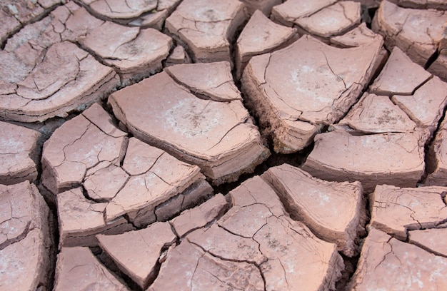 Cracked earth, cracked soil