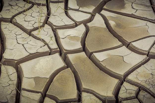 Cracked earth. Drought on the soil.