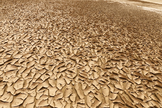 Cracked earth in Sahara desert