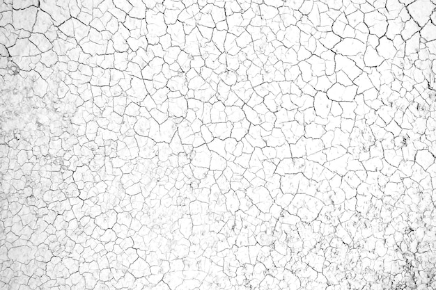 Cracked earth texture background