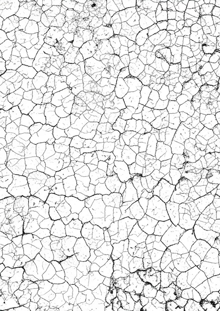 Photo cracked earth texture background