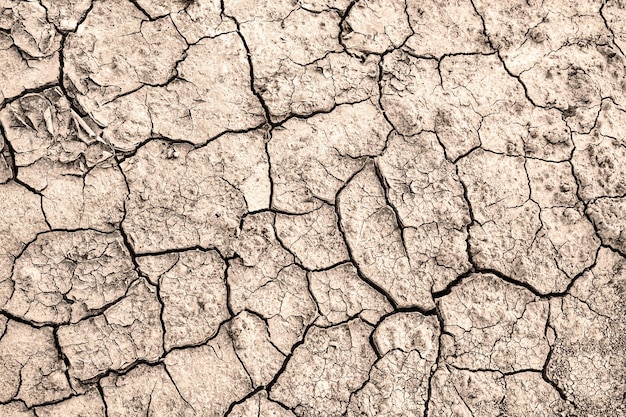 Photo cracked earth texture of cracks in the dry earth background wallpaper for design and creativity