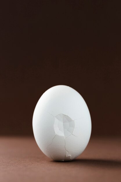 Cracked egg shell with black background