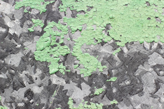 cracked green paint closeup, texture background.cracked green paint on gray background