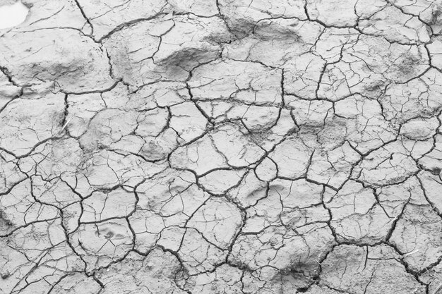 Cracked  ground in drought and dry soil mud texture