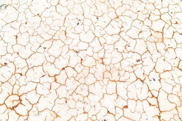 Cracked ground during a drought.