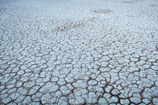 Cracked land texture close up