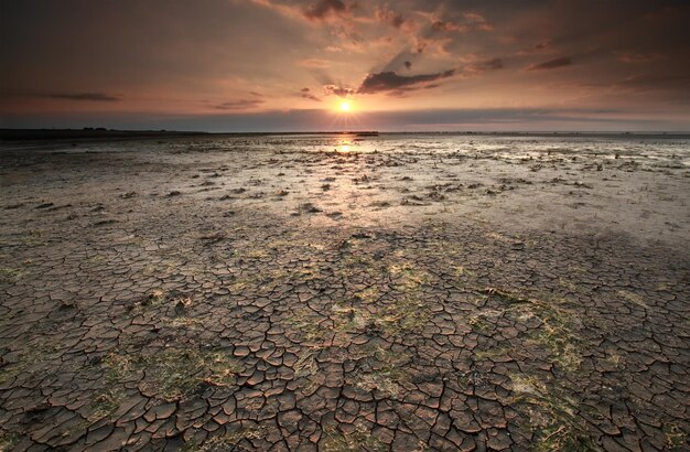 трещины в грязи на побережье Вадденского моря