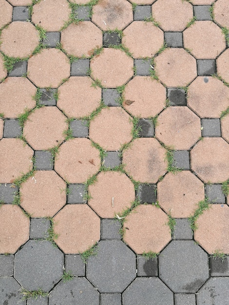 cracked red brick wall .Beautiful moss green Up on the red brick