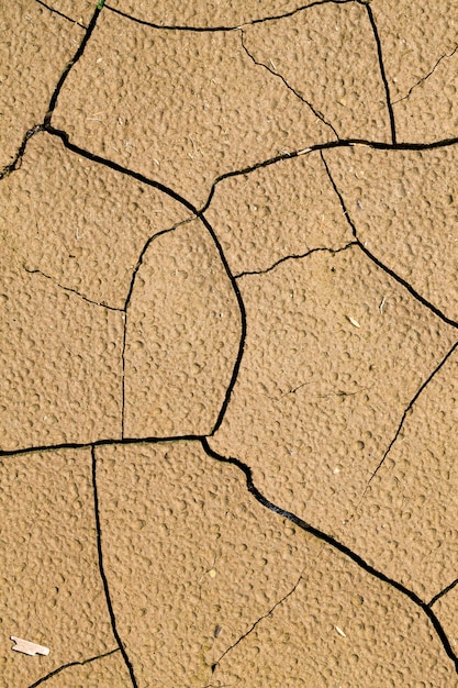 Cracked soil during a drought in an agricultural field, poor infertile soil, close-up, shallow depth of field