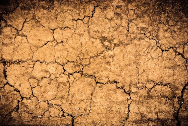 Cracked soil dry earth texture