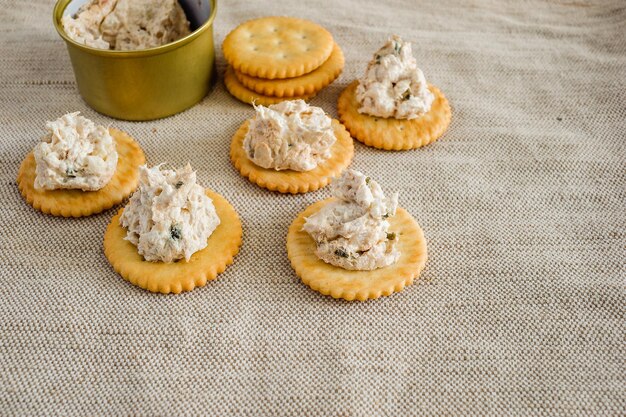 Cracker with tuna spread