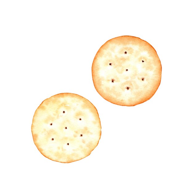 Crackers biscuits Watercolor food illustration isolated on white background