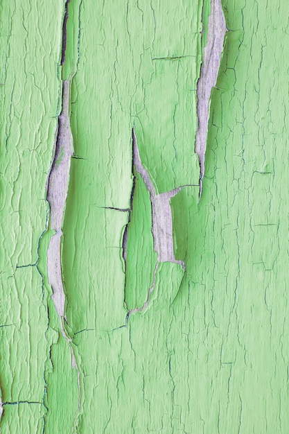 Cracking e peeling vernice verde su un muro. sfondo di legno vintage con vernice scrostata. vecchia tavola con vernice irradiata