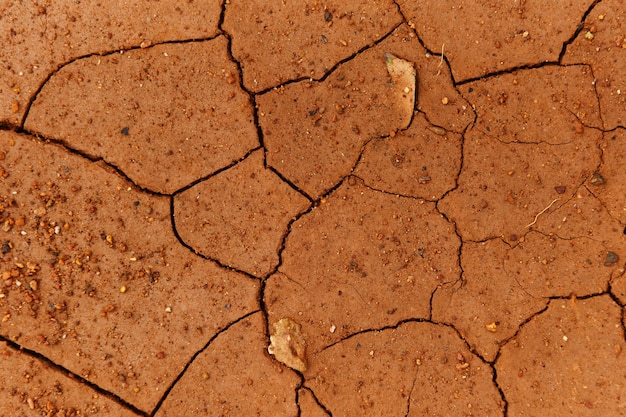 Cracks of the dried soil in arid season / Arid soil , Cracked earth texture