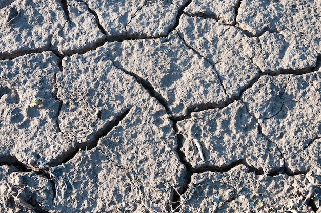 Cracks in dry land, drought, top view, close-up