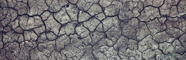 cracks on the ground desert texture background earth climate ecology