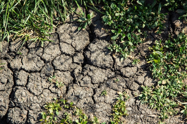 cracks on the ground during a drought in summer