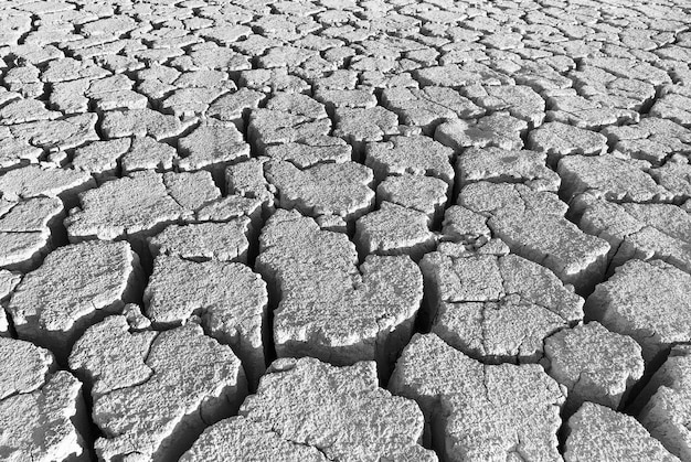 Cracks in the land of black and white background