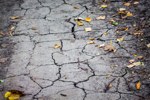 Cracks in the soil due to drought, a barren year_