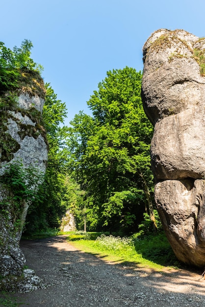 Cracow Gate Rock Formation in Ojcowski National Park in Polen