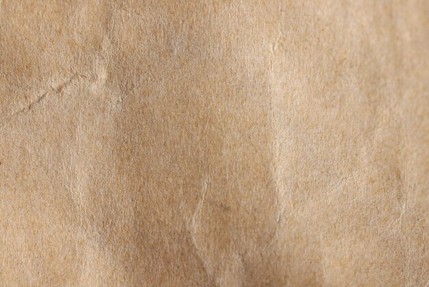 craft brown paper background cardboard sheet blank