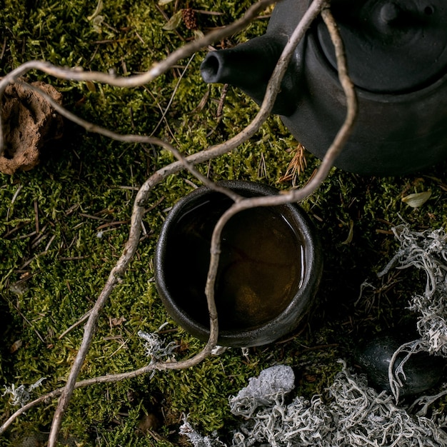 Craft handmade ceramic teapot kettle and wabisabi cup of hot\
green tea standing on moss with dry branch and leaves autumnal\
nature tea ceremony flat lay square image