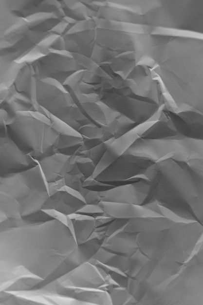 craft paper bag recycling and ecology concept black and white mode