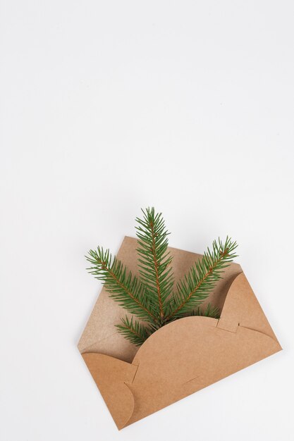 Craft paper envelope with fir tree branches