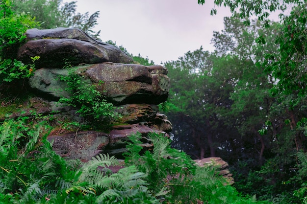 Craggy rock formation