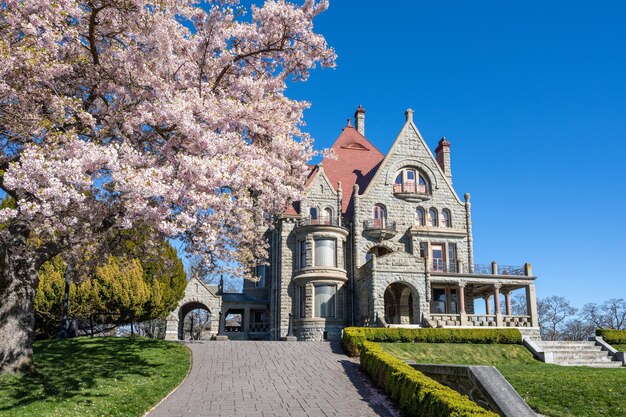 Craigdarroch Castle exterior full bloom cherry blossom during springtime season Victoria BC Canada