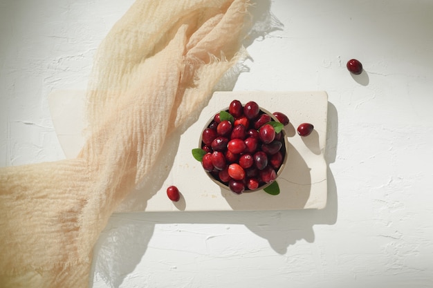 Cranberries in a Bowl