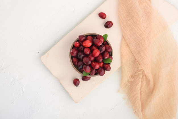 Cranberries in a Bowl