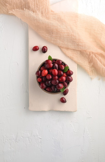 Cranberries in a Bowl