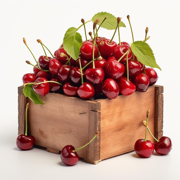 Cranberries in a Crate