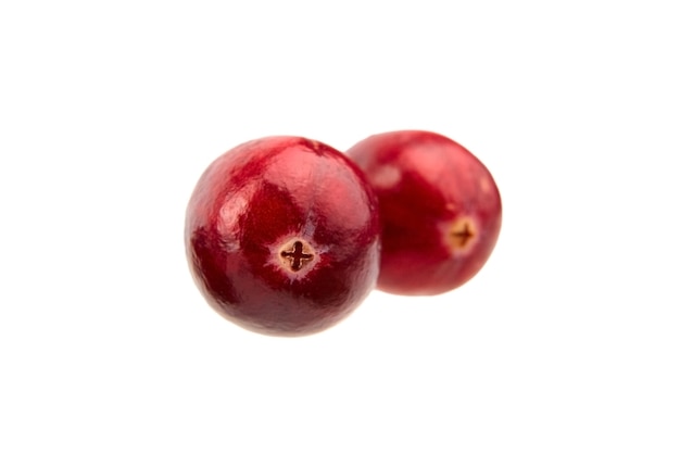 Cranberries isolated on white