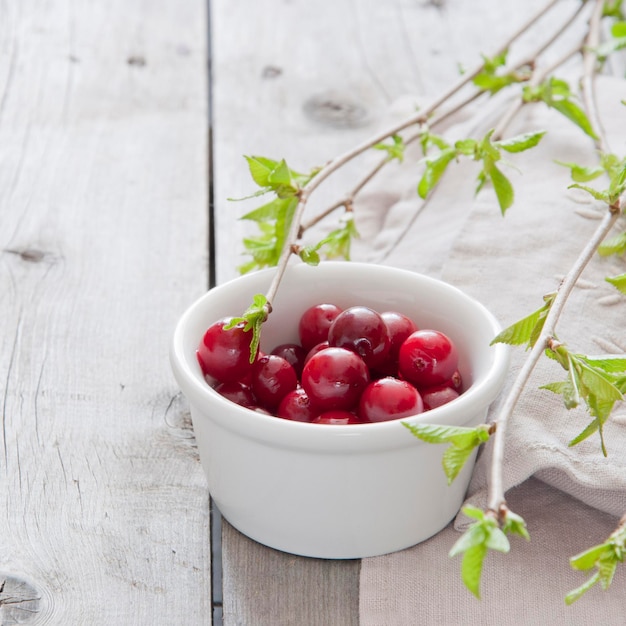 Cranberries Photo