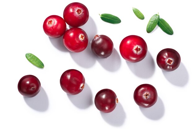 Cranberries v oxycoccus top view paths