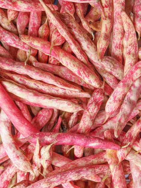 Cranberry beans