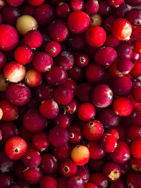 Cranberry Cranberry achtergrond Gezonde voeding voor het urogenitale systeem