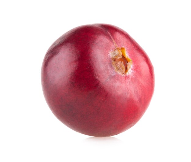 Cranberry