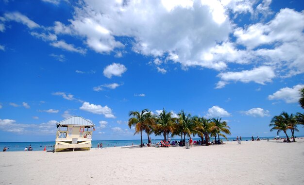 Crandon park view