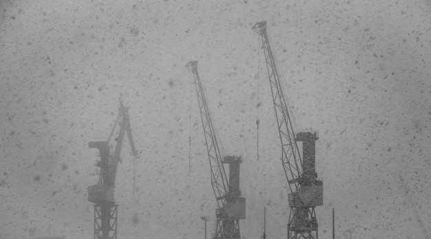 Photo cranes against sky during winter