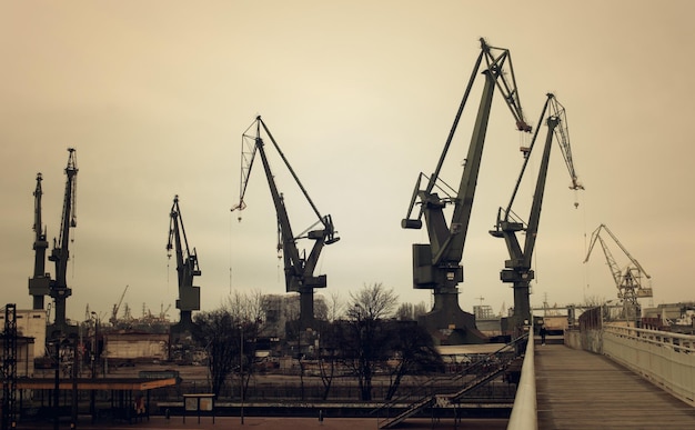 Фото Журавли в гавани напротив неба в городе