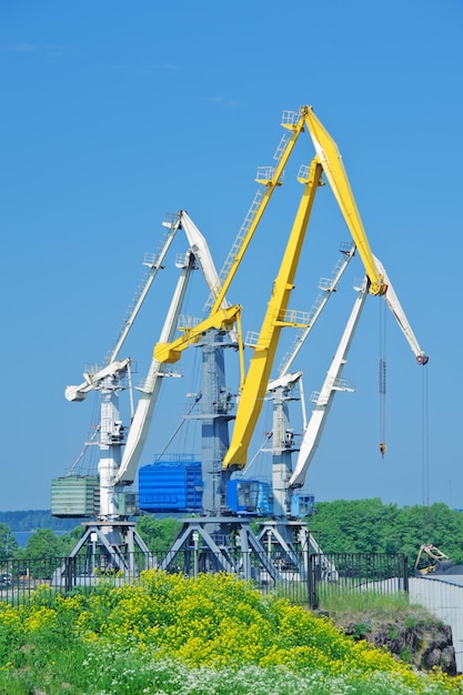 Cranes on a blue sky background
