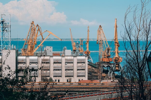 Foto le gru sul cantiere in città contro il cielo