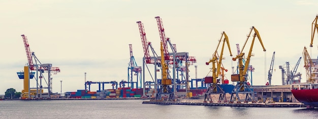 Cranes in the port