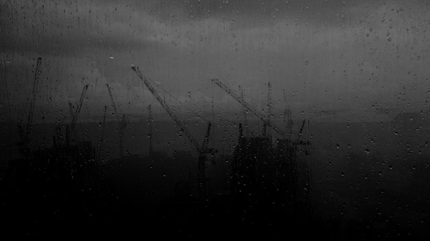 Photo cranes in rain