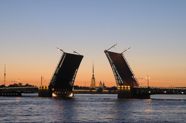 Cranes in sea against clear sky during sunset