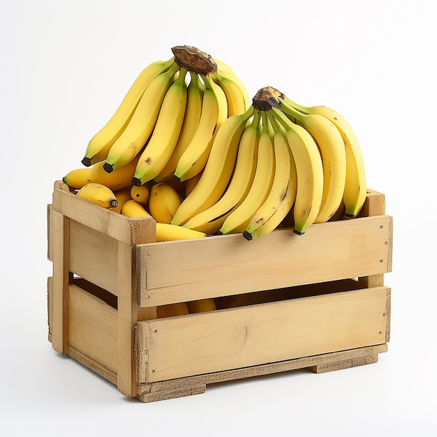 白い背景の上のバナナの木箱